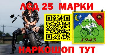 мдпв Боровичи