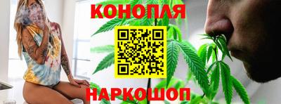 мдпв Боровичи